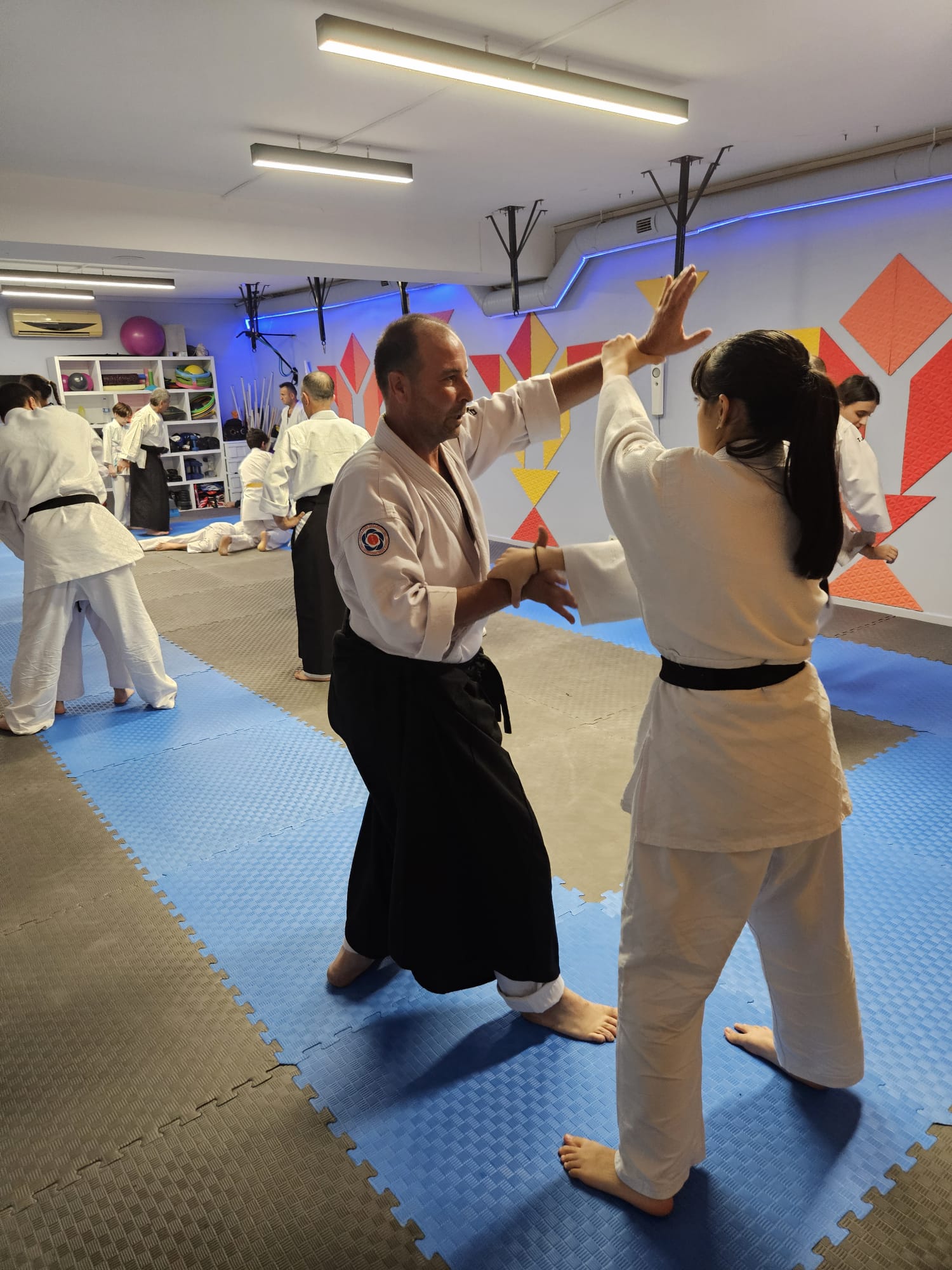Aikido Eğitimi